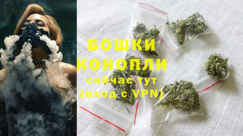 Конопля THC 21%  где продают   Дрезна 